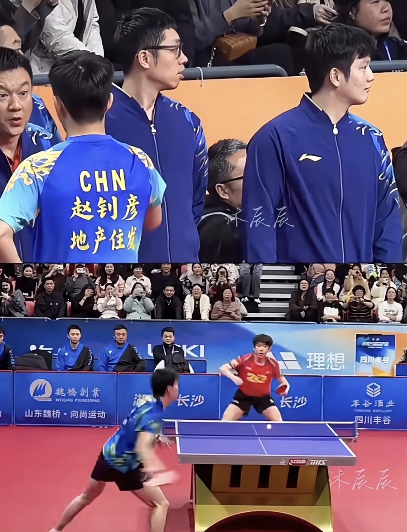 中国队绝杀波兰队，许昕统治全场
