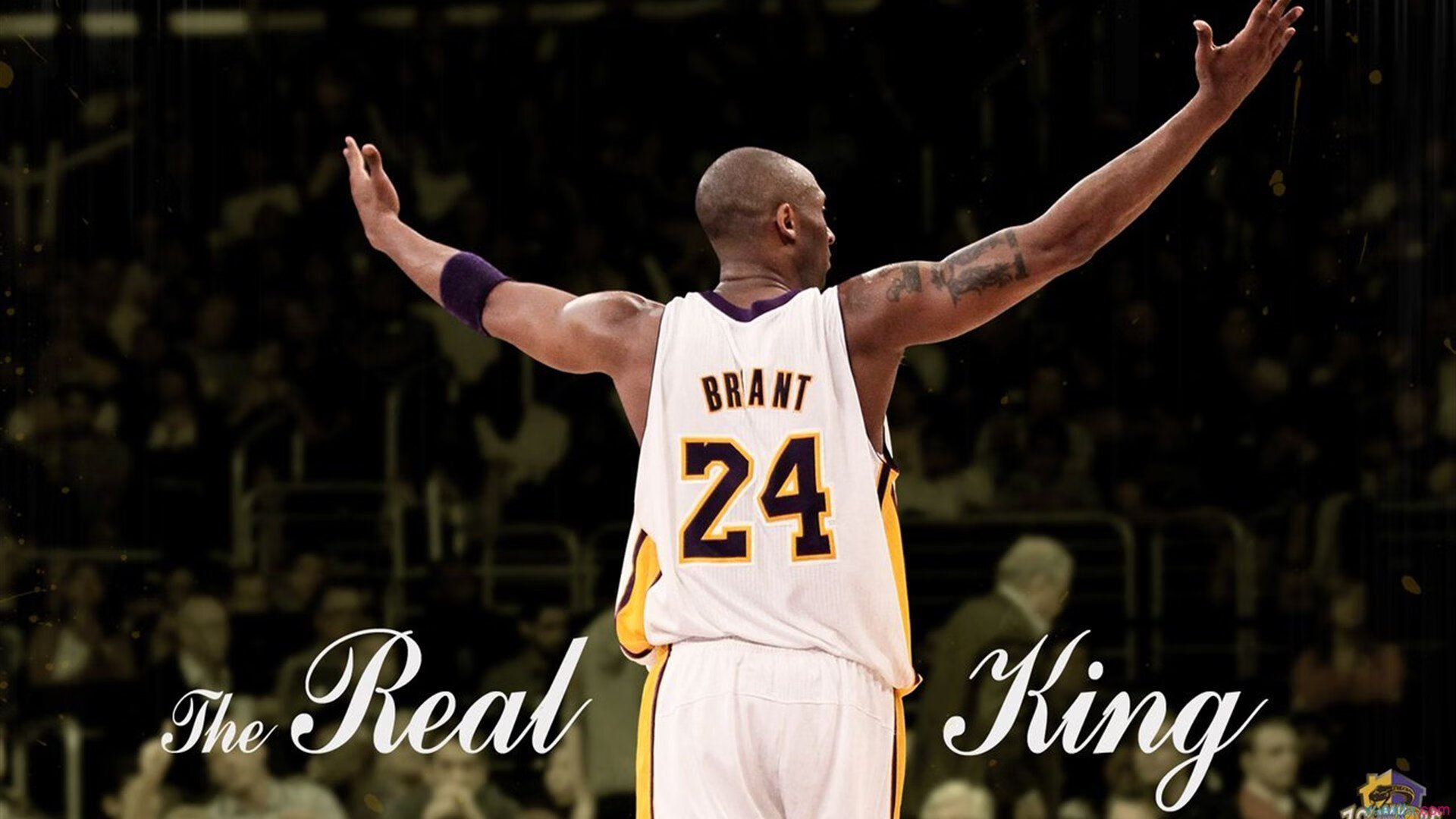 开云官网-库里定律，当稳定输出成为现代篮球的唯一通关密码